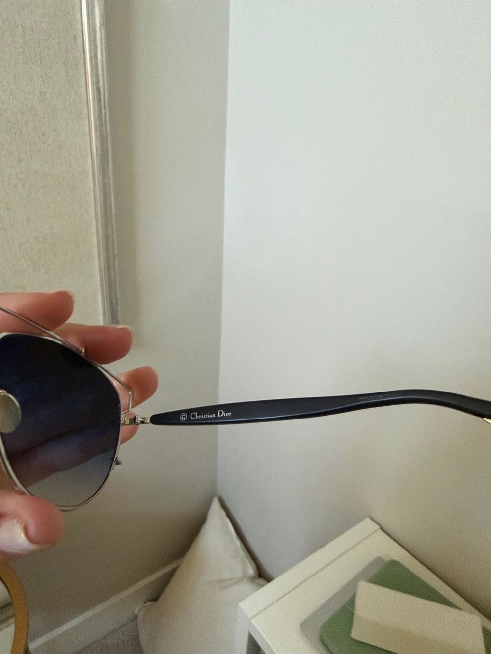 Dior Technologic Sunglasses - Palladium - Picture 6 of 6